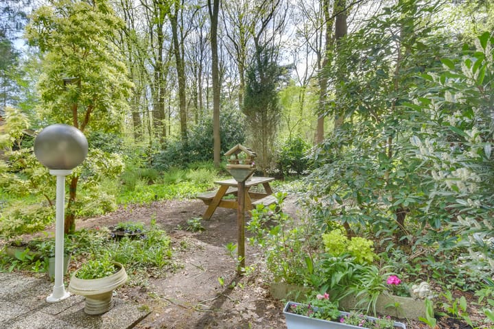 Photo 22 of de Hongerige Wolf 100