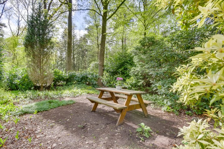 Photo 23 of de Hongerige Wolf 100