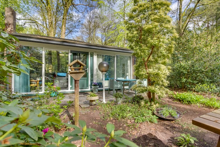 Photo 25 of de Hongerige Wolf 100