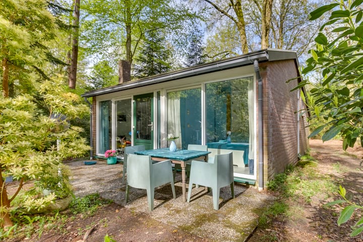 Photo 26 of de Hongerige Wolf 100