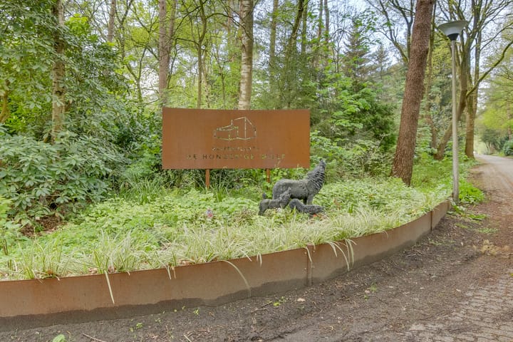 Photo 28 of de Hongerige Wolf 100