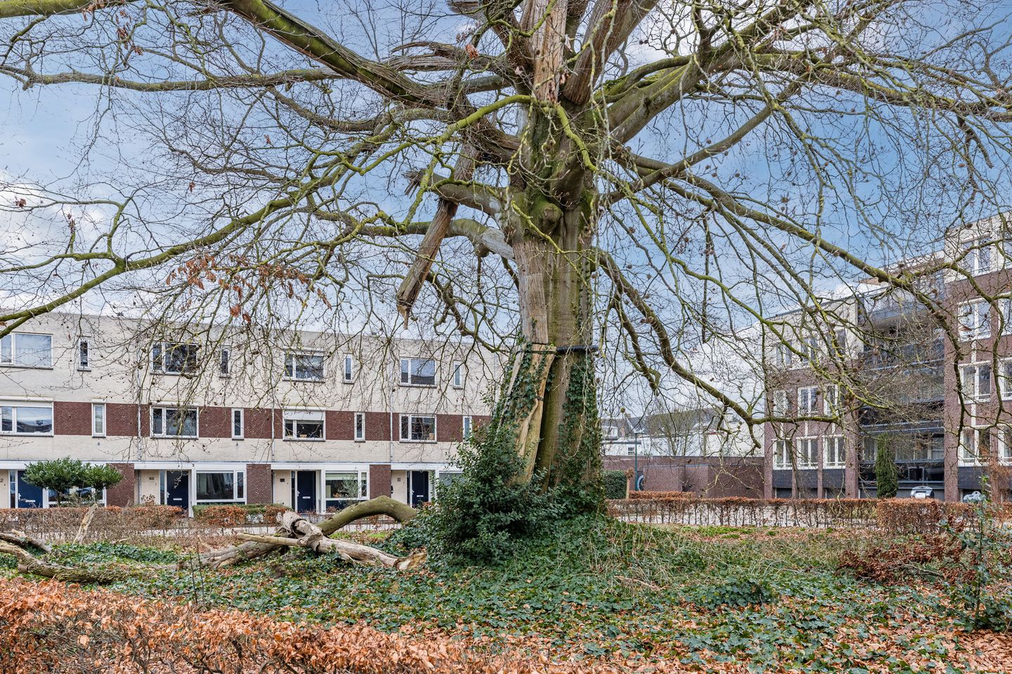 Foto 34 van Rosariopark 99