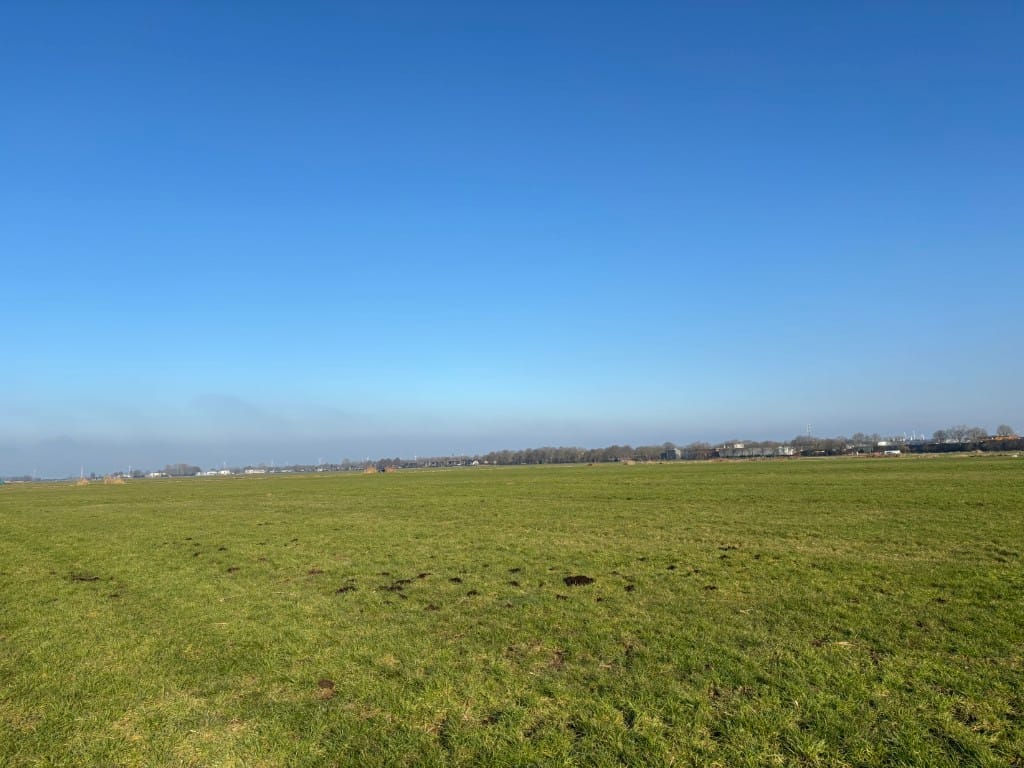 Bekijk foto 3 van Harsaterdrecht