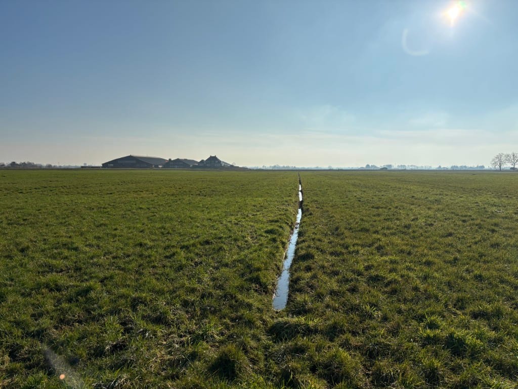 Bekijk foto 4 van Harsaterdrecht