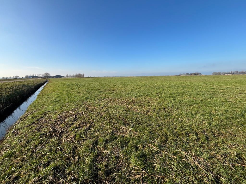 Bekijk foto 5 van Harsaterdrecht