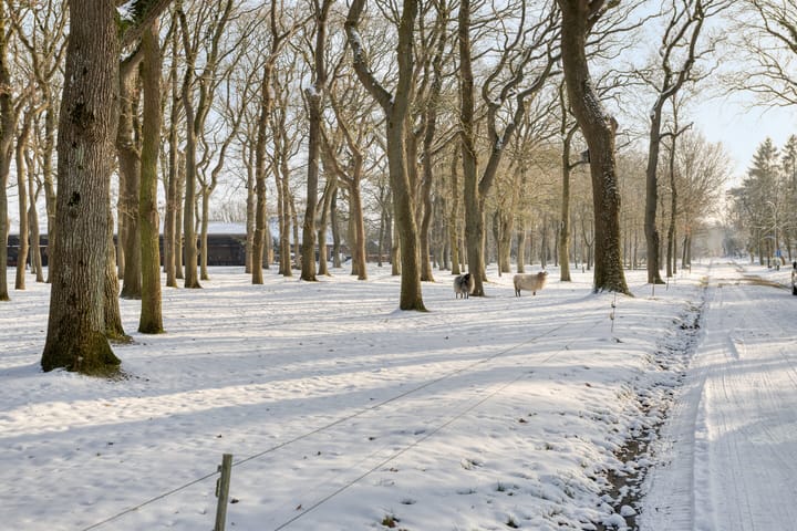 Photo 4 of Westerbrink 6