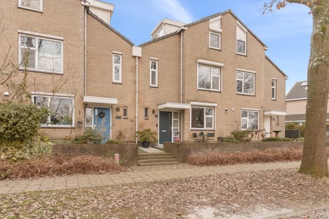 undefined main image