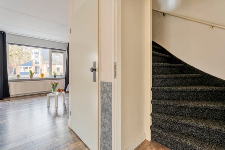 Photo 17 of Anne Franklaan 17