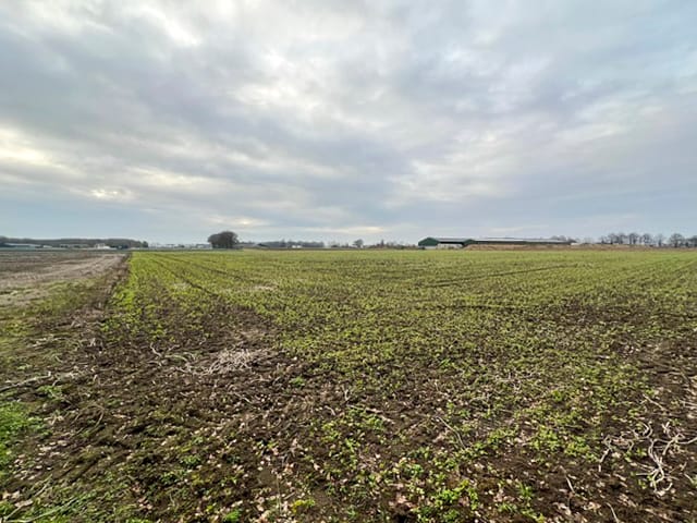 Bekijk foto 2 van Overbroekseweg