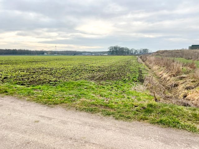Bekijk foto 5 van Overbroekseweg