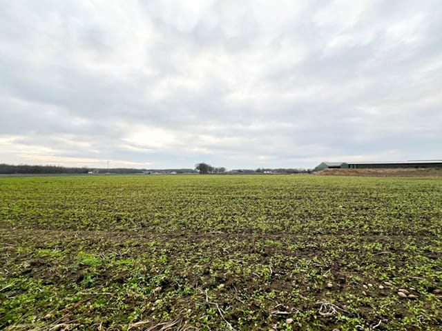 Bekijk foto 4 van Overbroekseweg