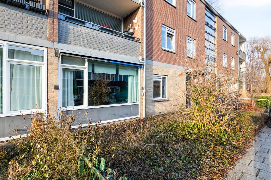 Foto 7 van Roerdompstraat 8