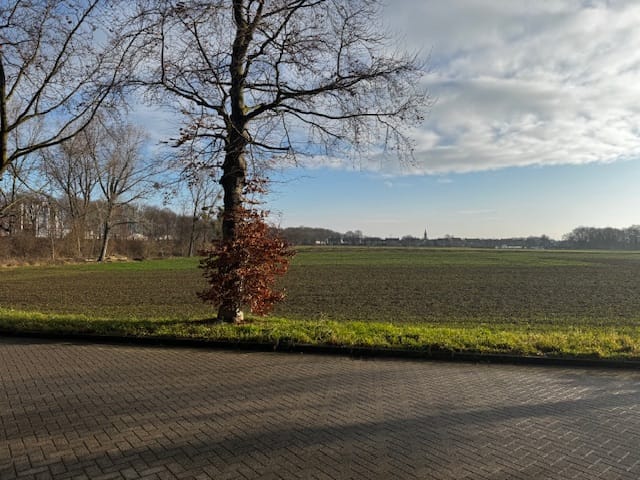 Foto 2 van Havenweg 28