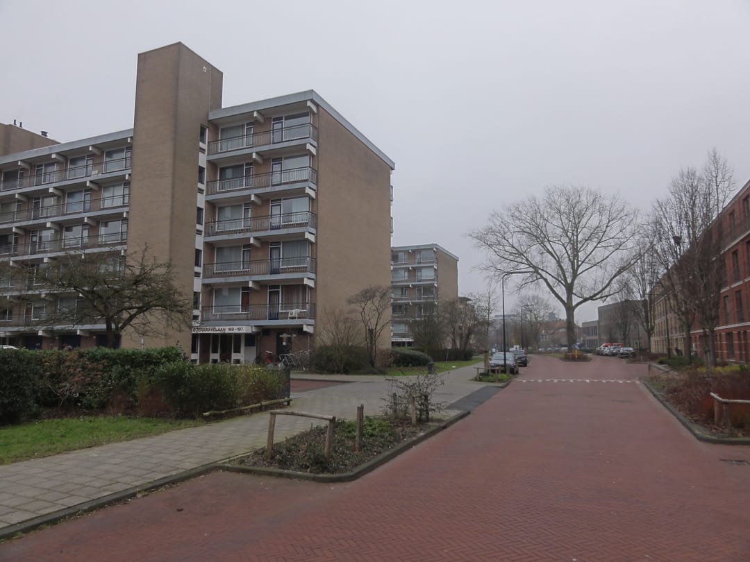 Foto 2 van Boerhaavelaan 185