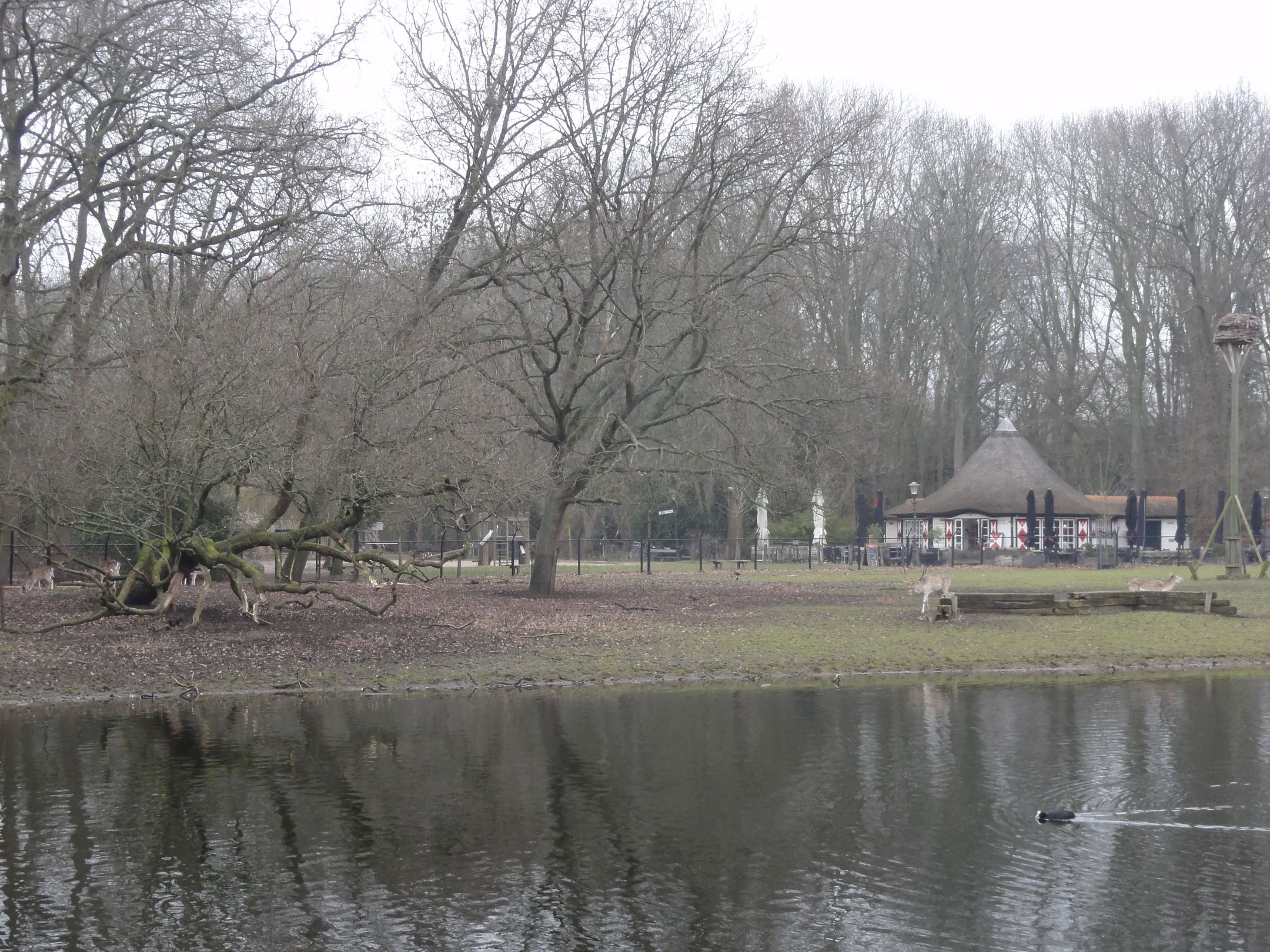 Foto 21 van Boerhaavelaan 185