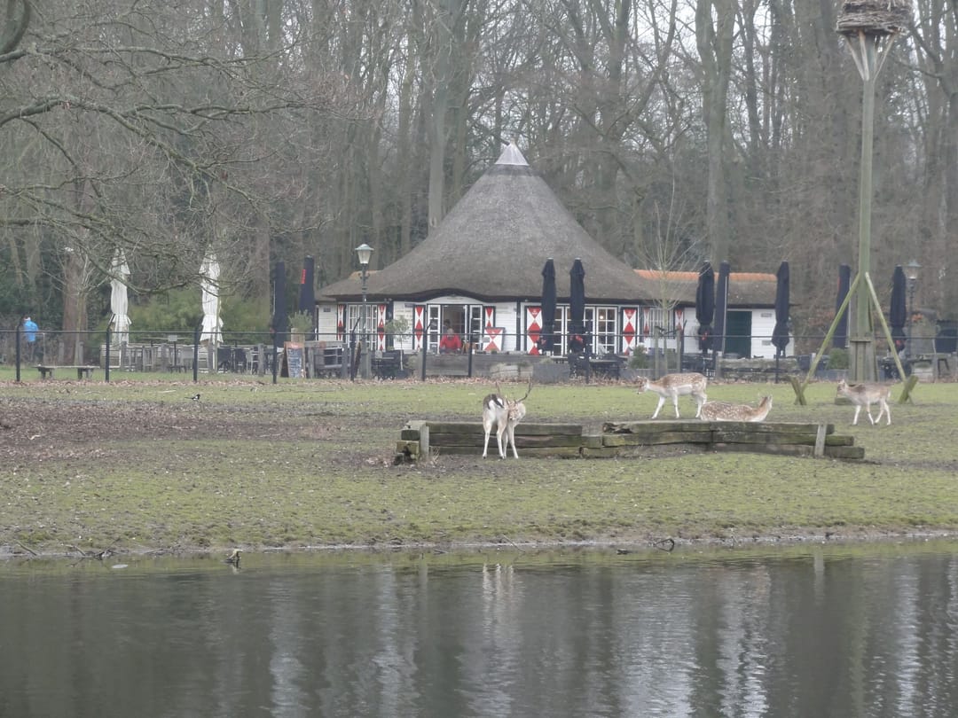 Foto 22 van Boerhaavelaan 185