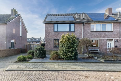 undefined main image