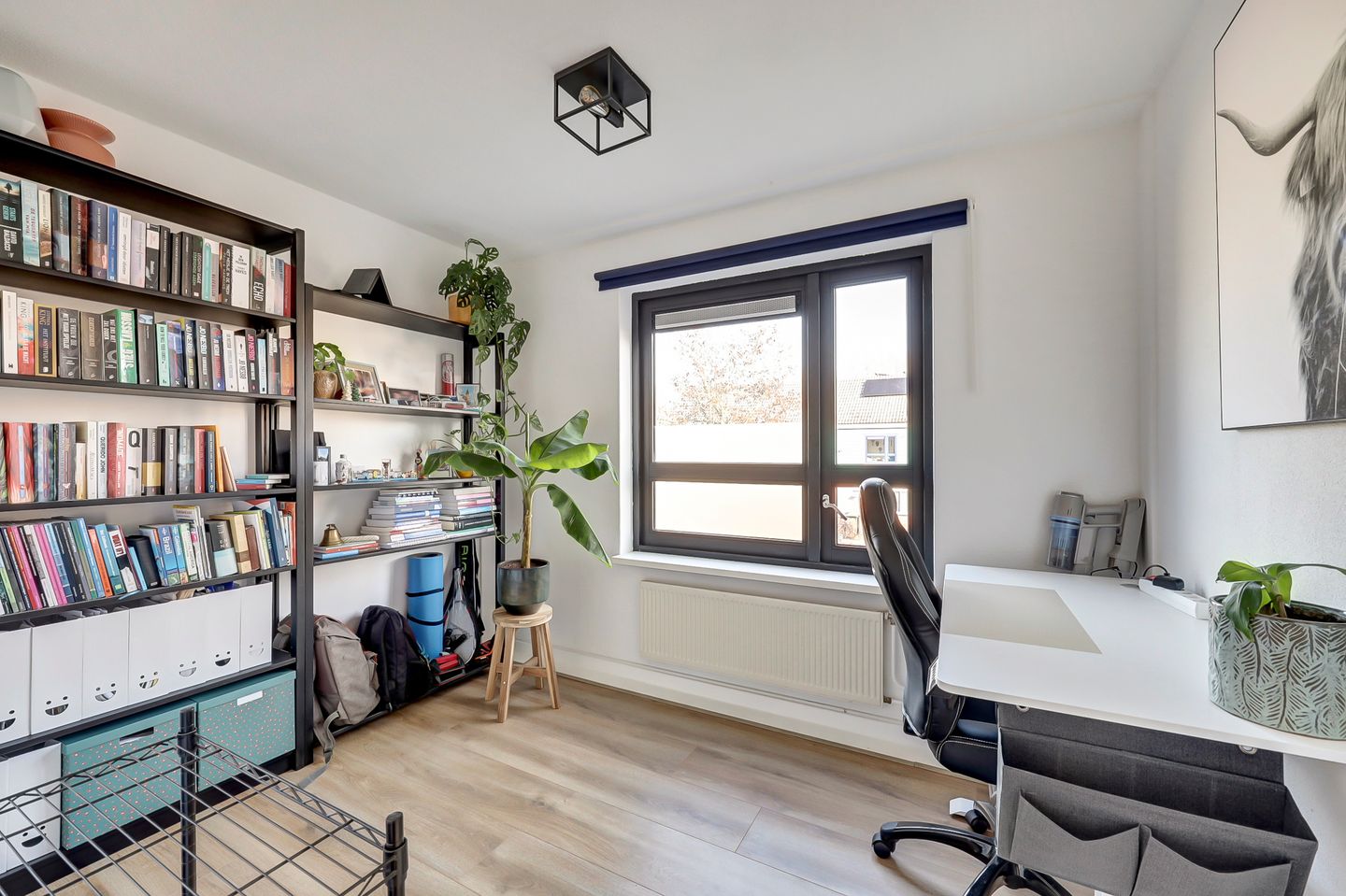 Foto 19 van De Killick 69