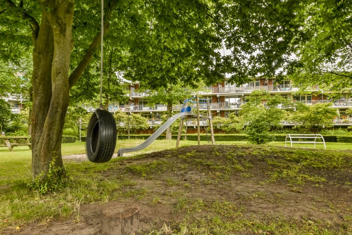 Foto 4 van Amerbos 229