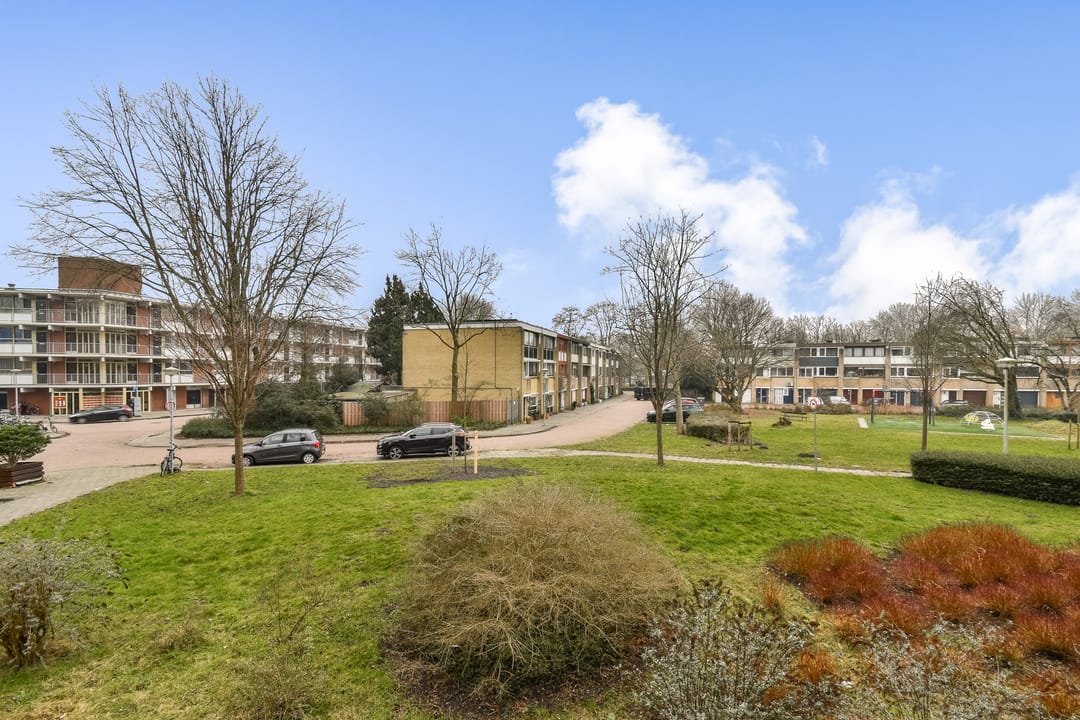 Foto 16 van Amerbos 229