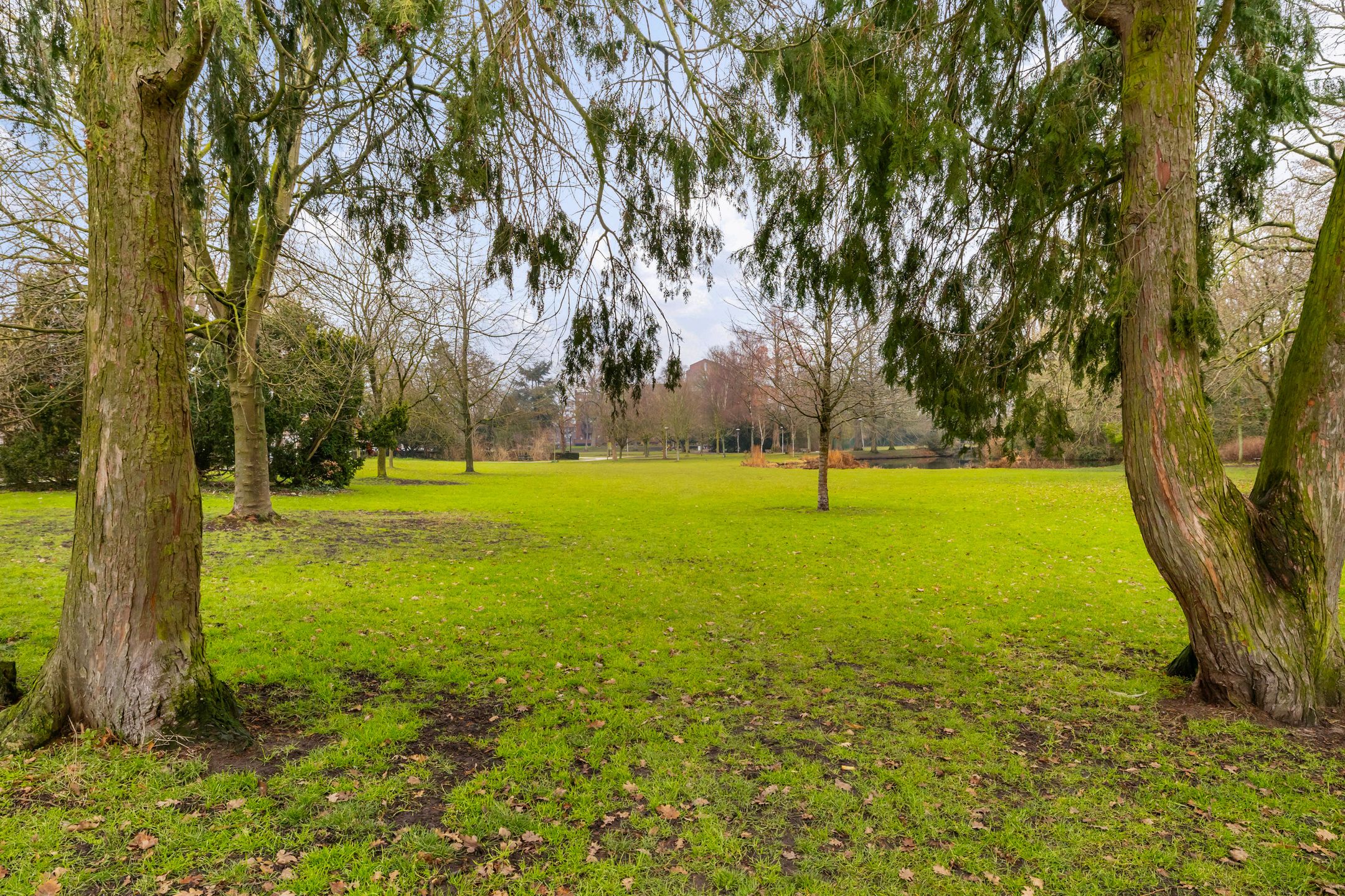 Foto 42 van Schönberglaan 6