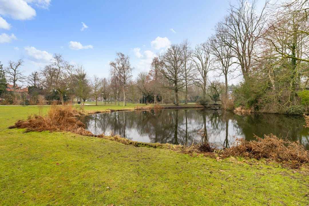 Foto 43 van Schönberglaan 6