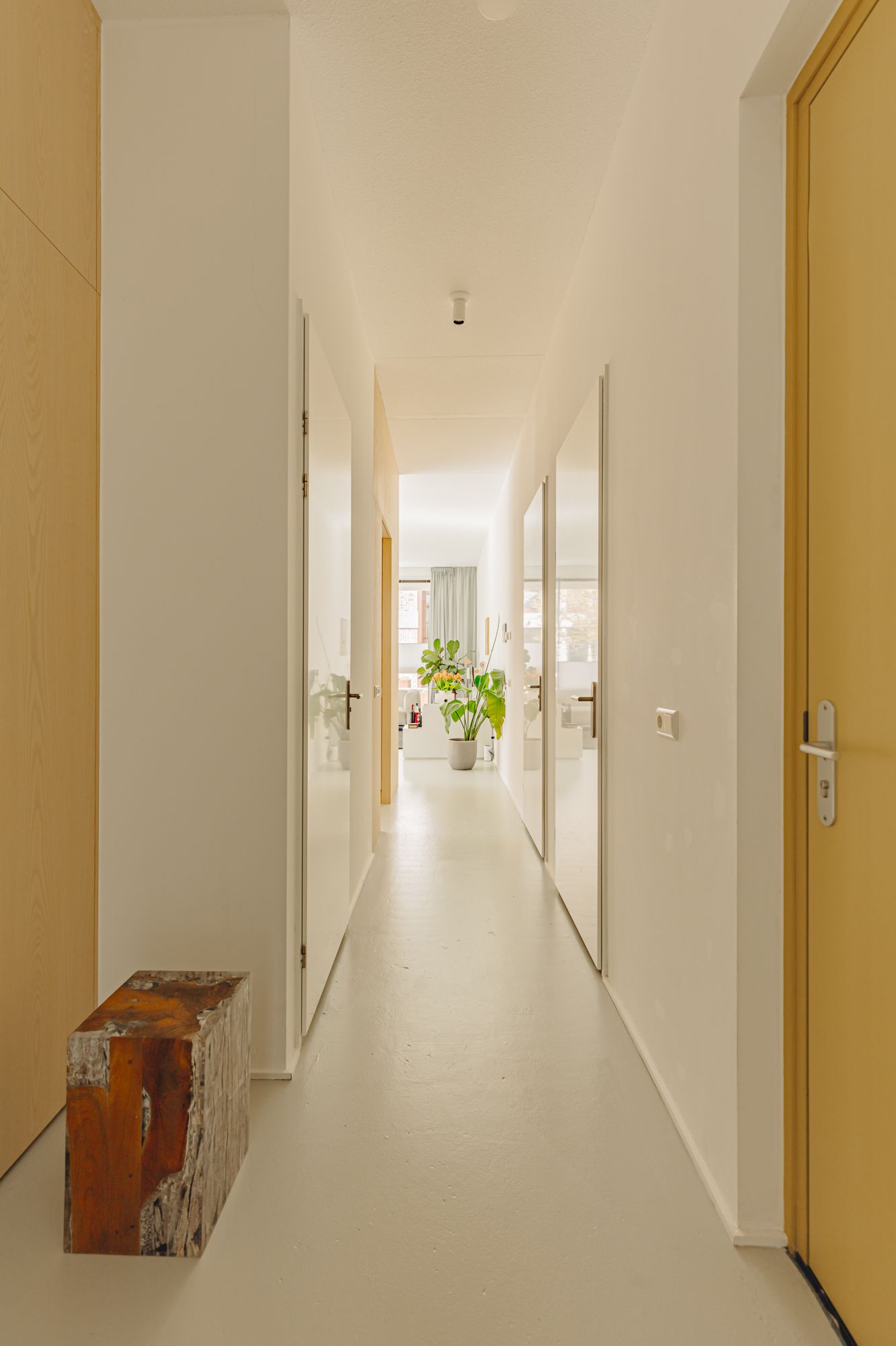 Foto 5 van Eef Kamerbeekstraat 382