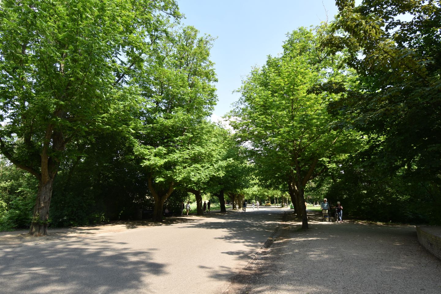 Foto 20 van Johannes Verhulststraat 62-3A