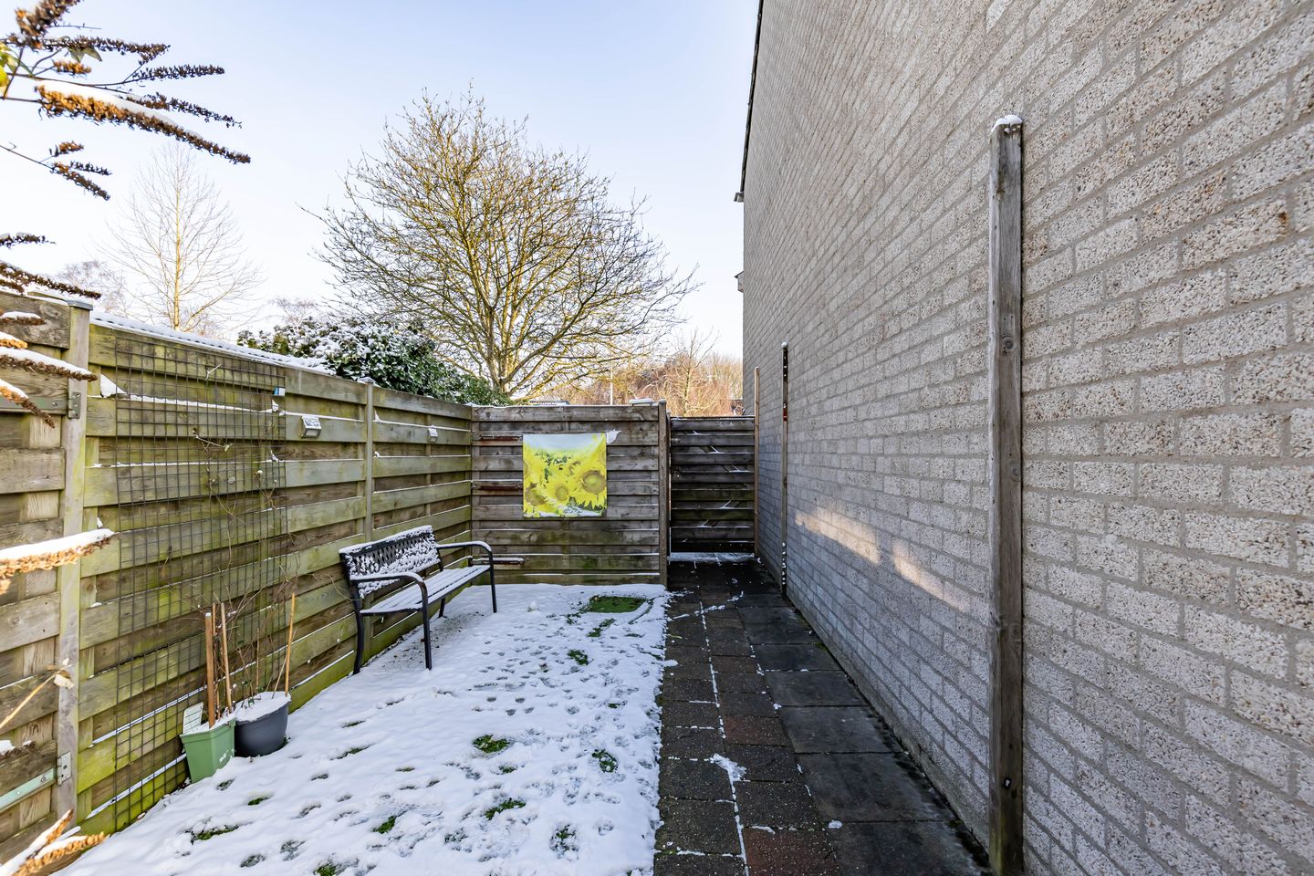 Photo 44 of Van Beijmastraat 39