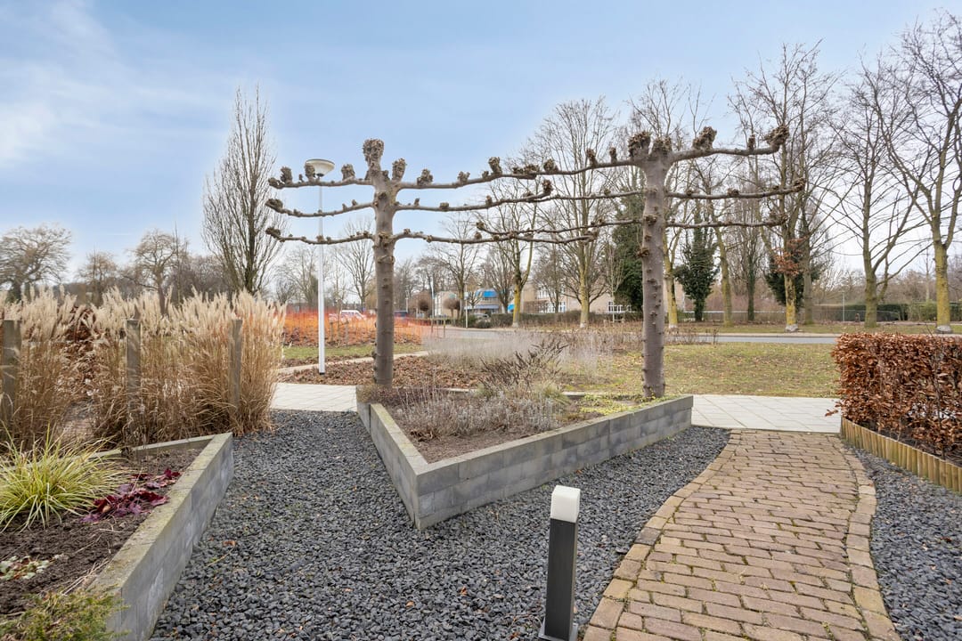 Foto 47 van Beukenlaan 8