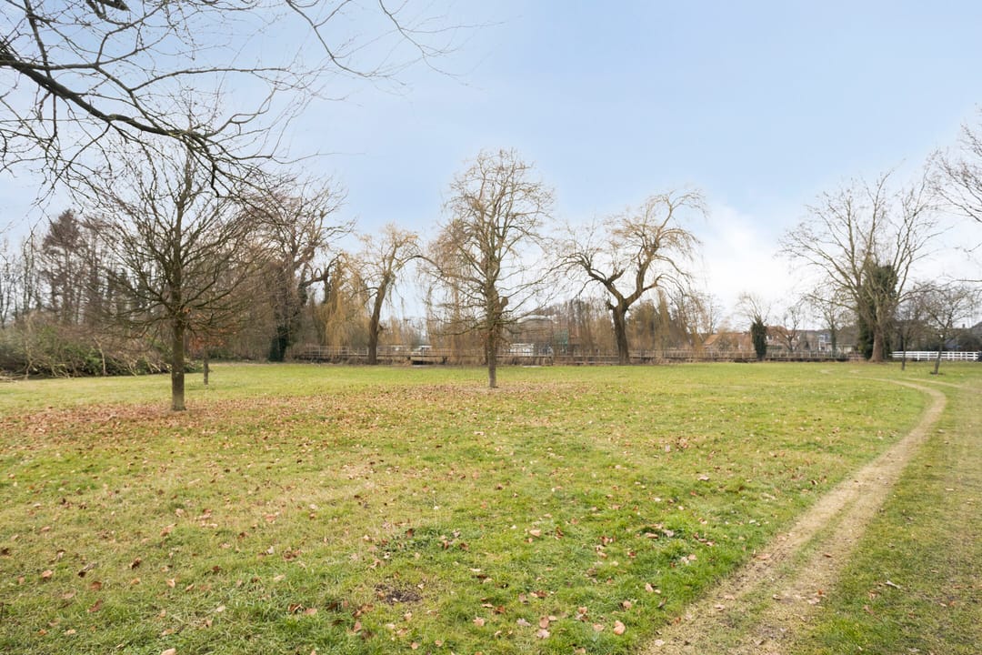 Foto 53 van Beukenlaan 8