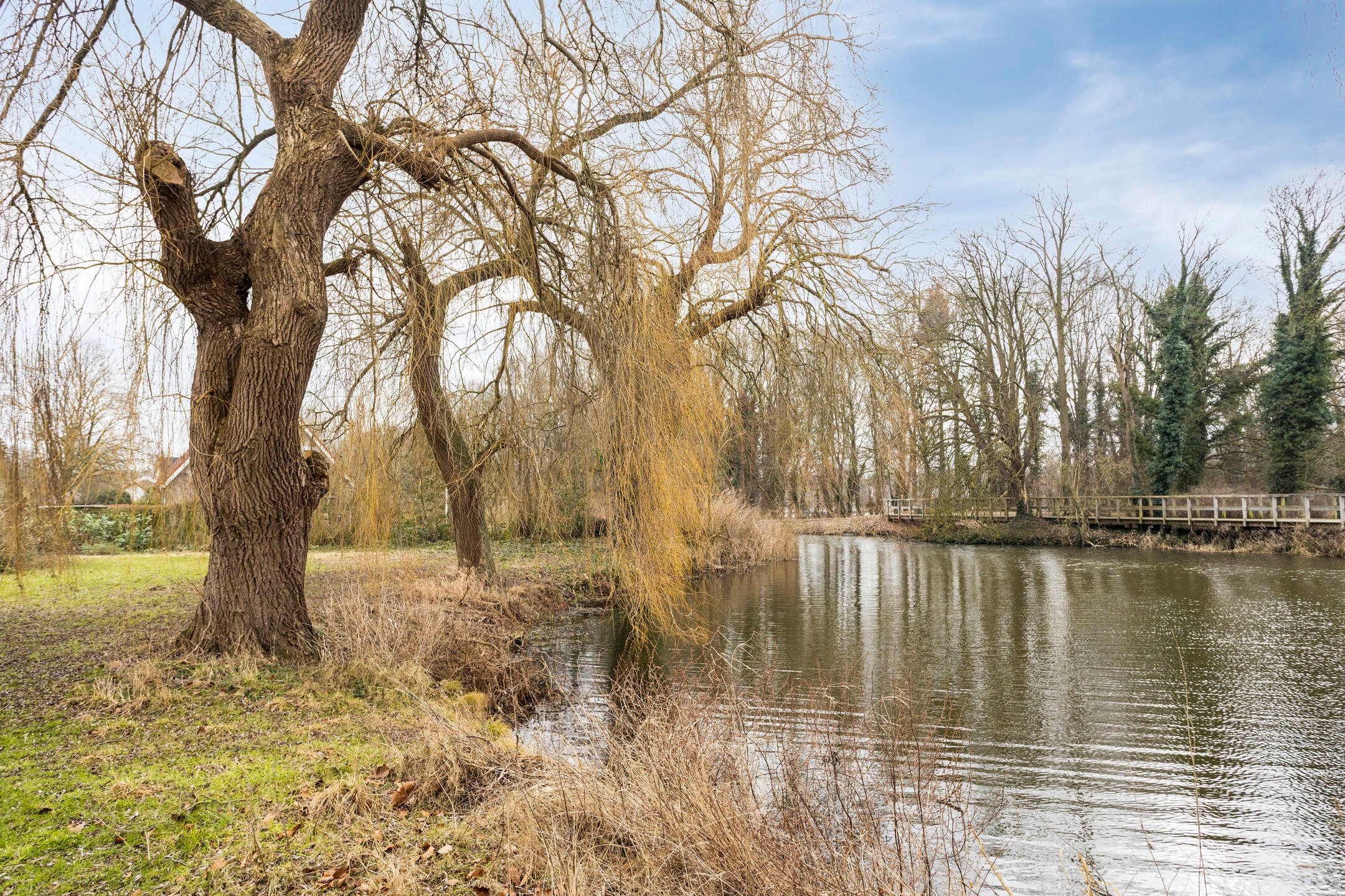 Foto 54 van Beukenlaan 8