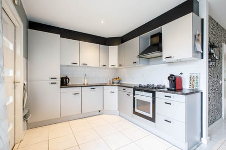 Penningkruid 40 tertiary image