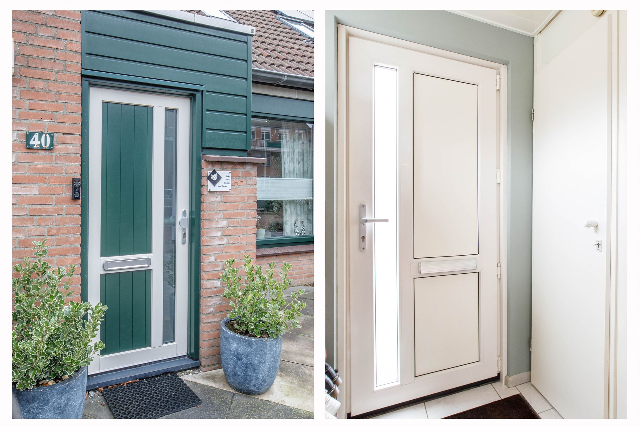 Foto 6 van Penningkruid 40