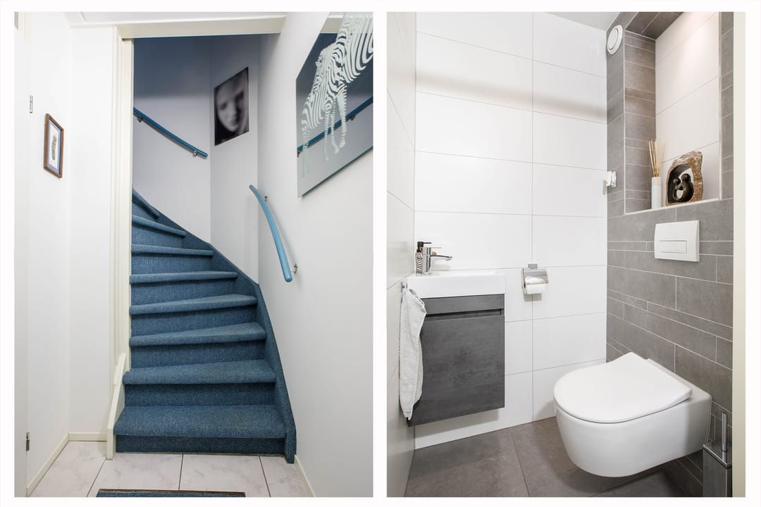 Foto 7 van Penningkruid 40