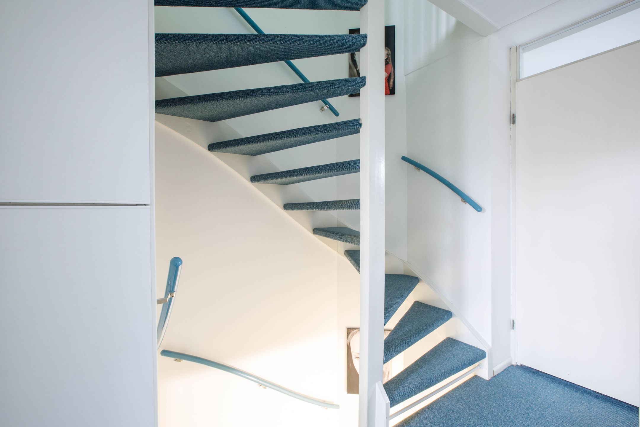 Foto 15 van Penningkruid 40