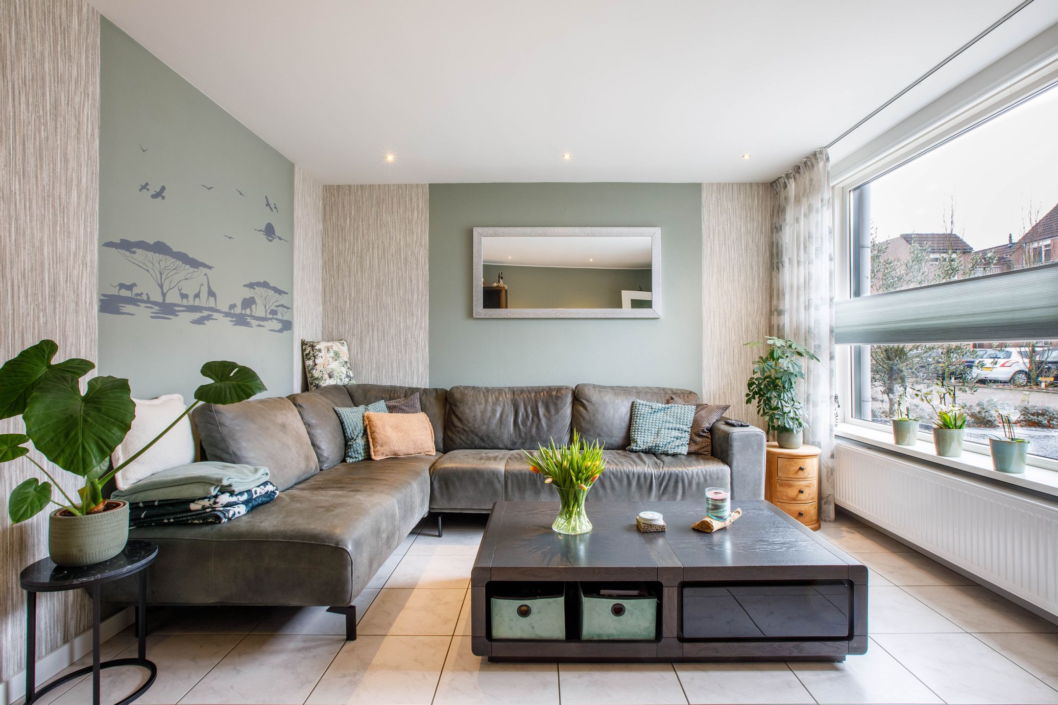 Foto 9 van Penningkruid 40