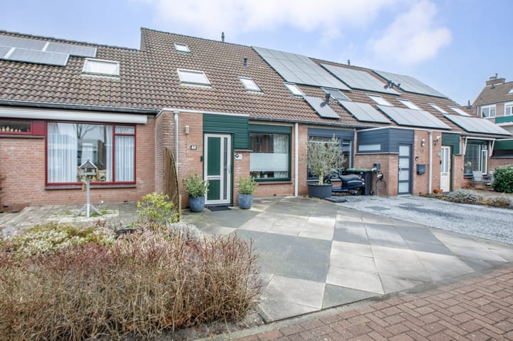 Foto 5 van Penningkruid 40