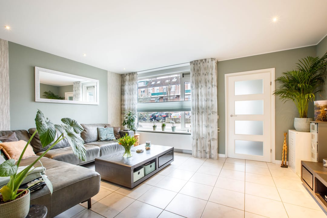 Foto 8 van Penningkruid 40