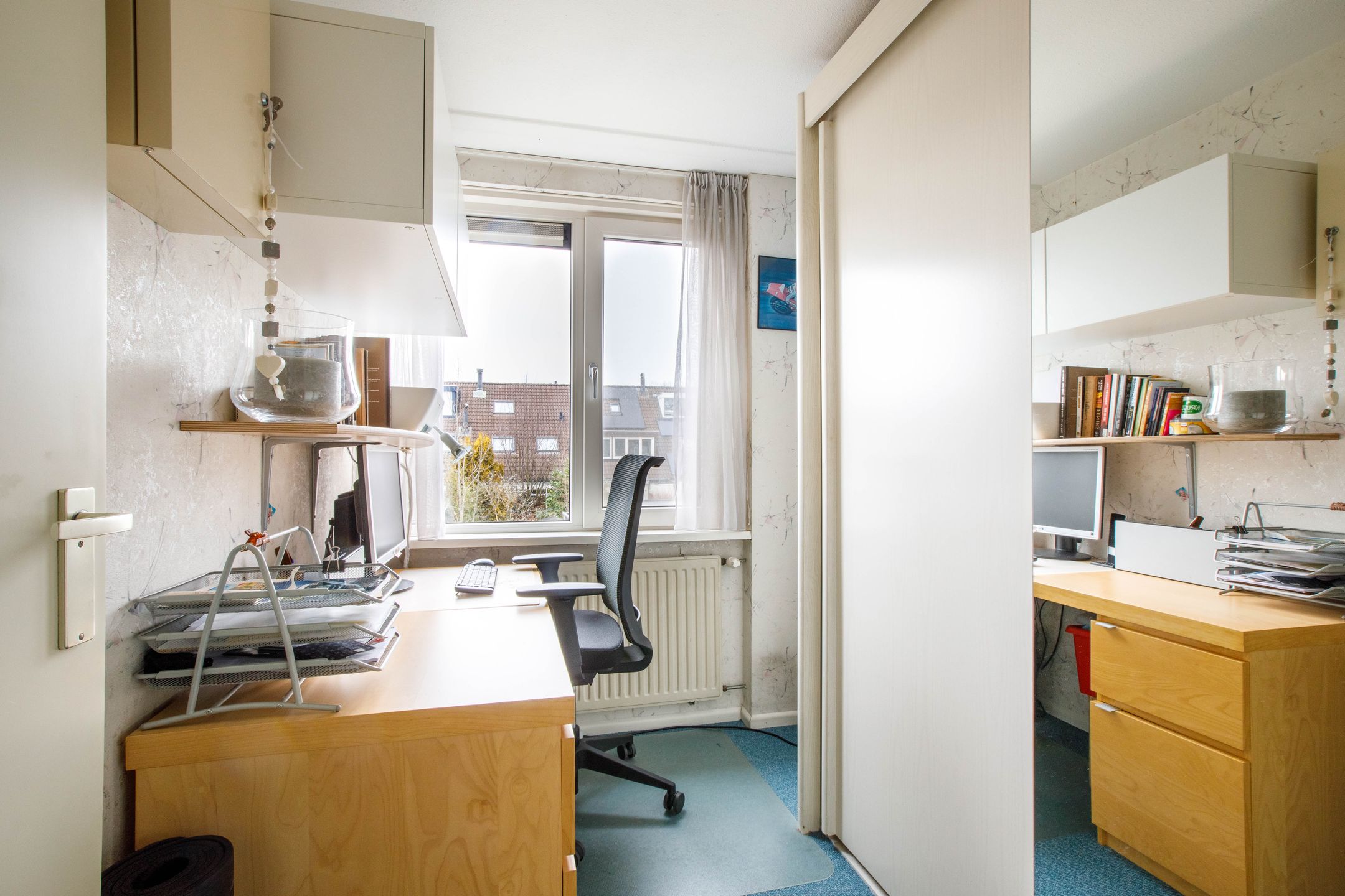 Foto 18 van Penningkruid 40