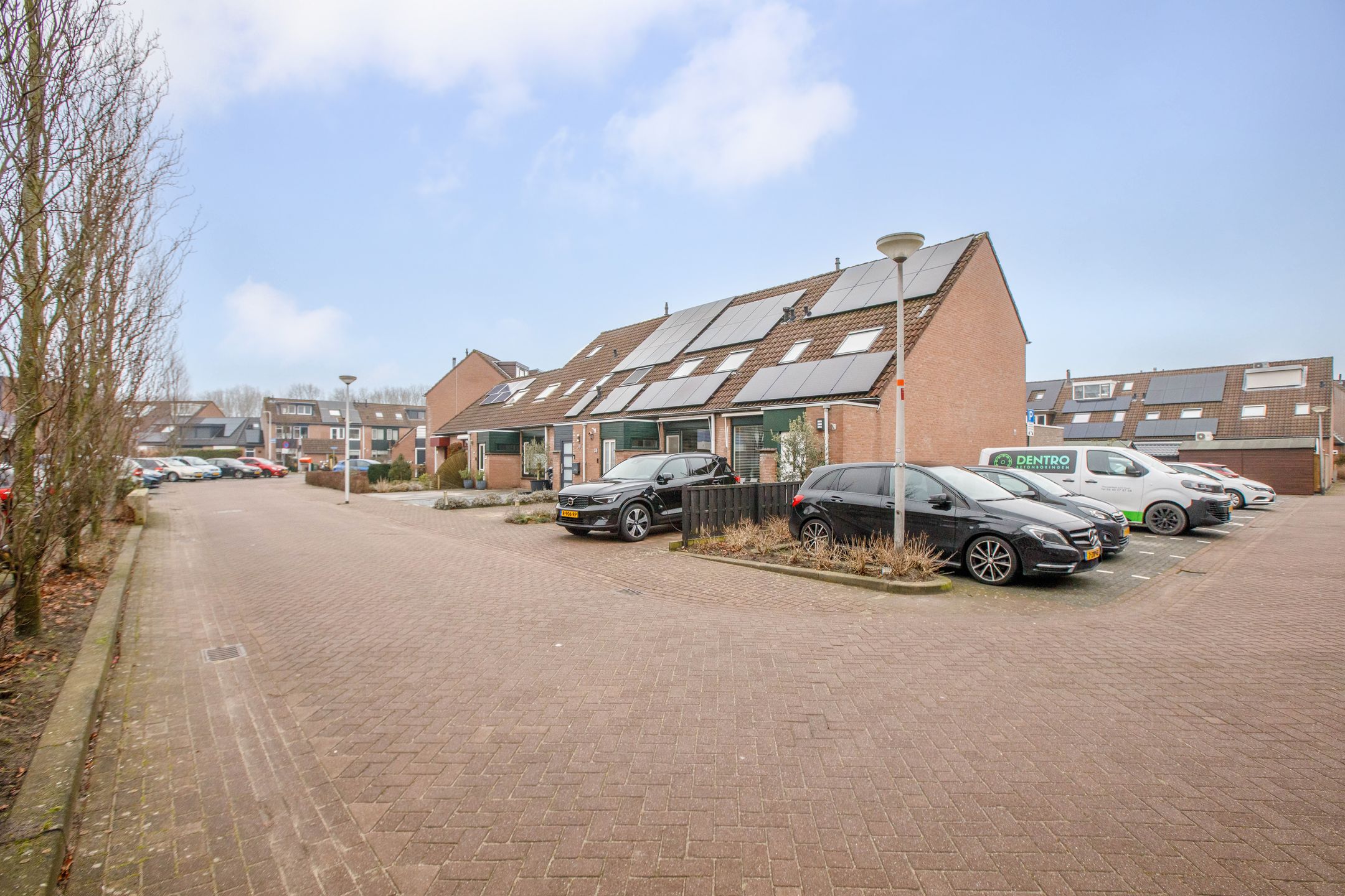 Foto 30 van Penningkruid 40