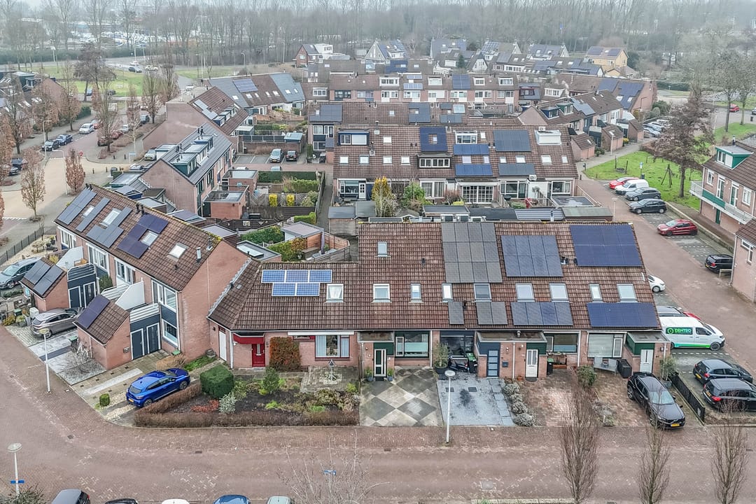 Foto 38 van Penningkruid 40