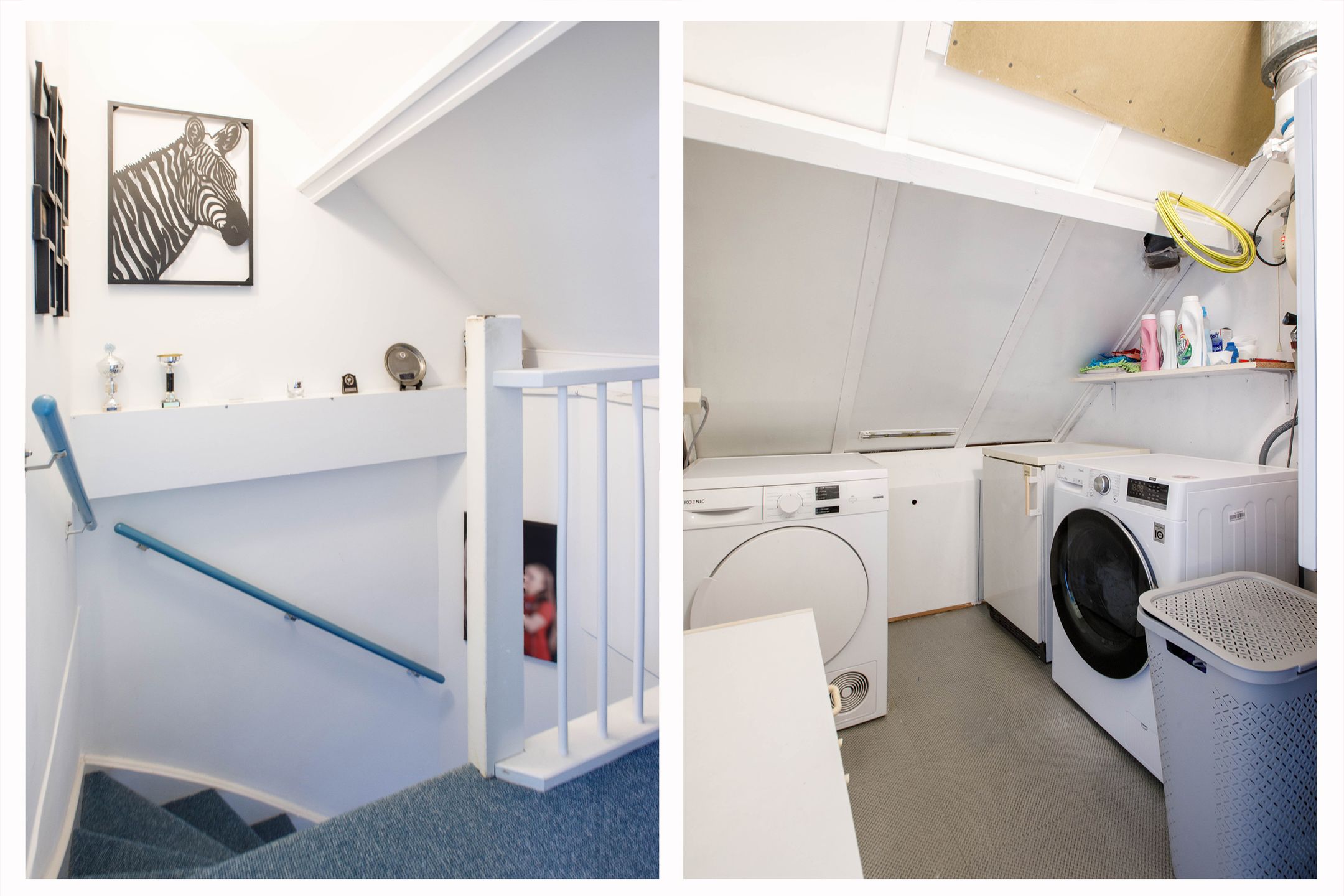 Foto 21 van Penningkruid 40