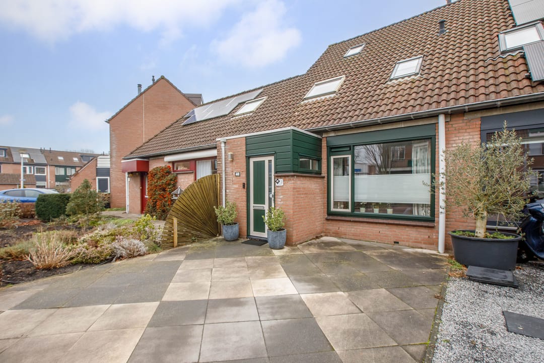 Foto 32 van Penningkruid 40