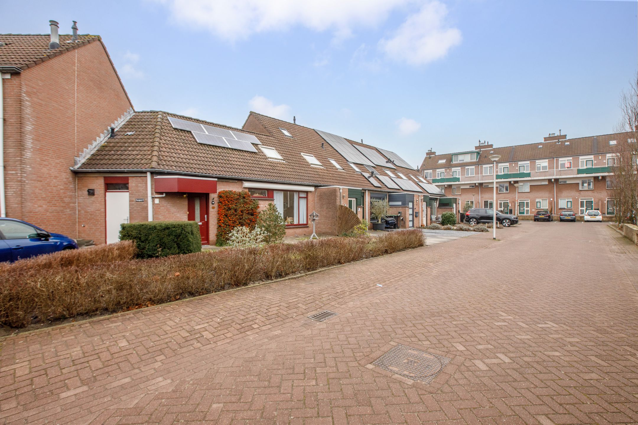 Foto 33 van Penningkruid 40