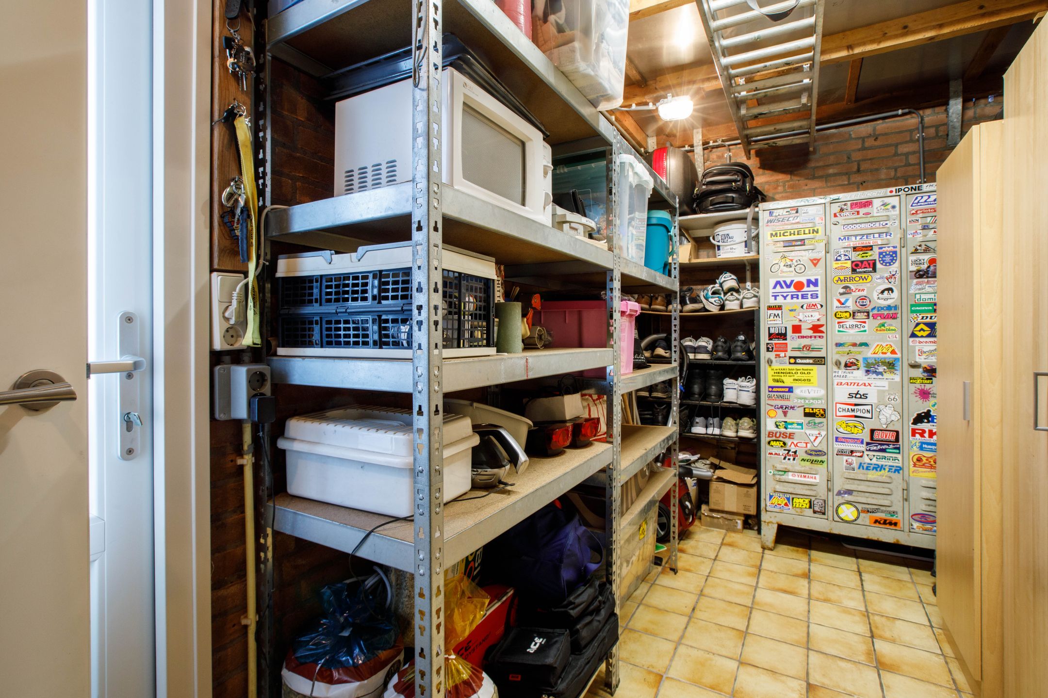 Foto 24 van Penningkruid 40