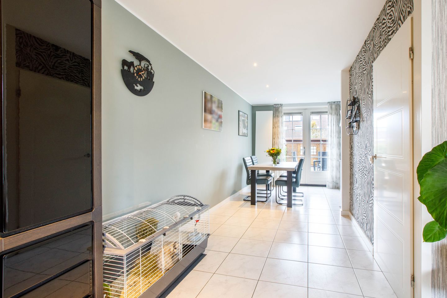 Foto 10 van Penningkruid 40