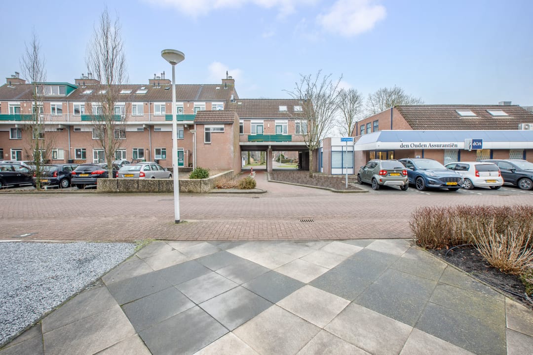 Foto 31 van Penningkruid 40