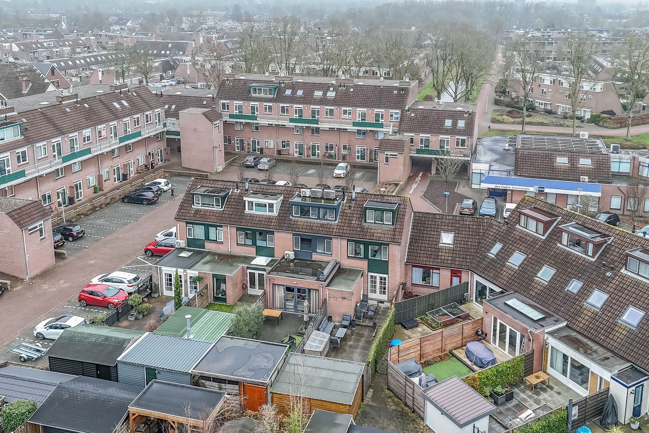 Foto 36 van Penningkruid 40