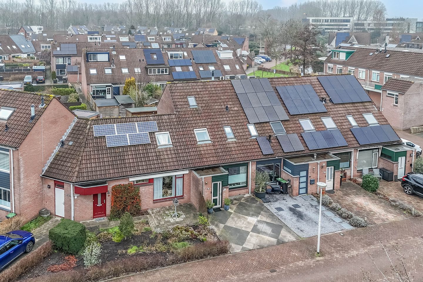 Foto 34 van Penningkruid 40